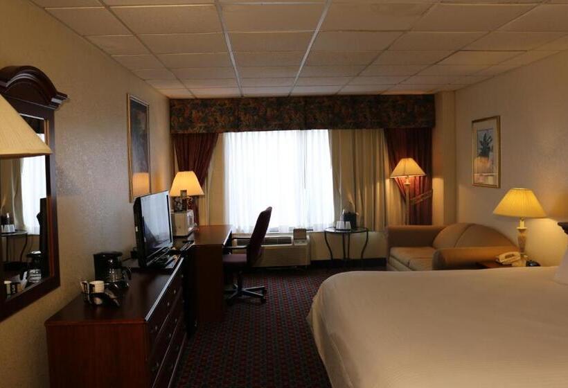 اتاق استاندارد با تخت بزرگ, Imperial Swan Hotel And Suites Lakeland
