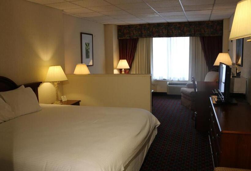 اتاق استاندارد با تخت بزرگ, Imperial Swan Hotel And Suites Lakeland