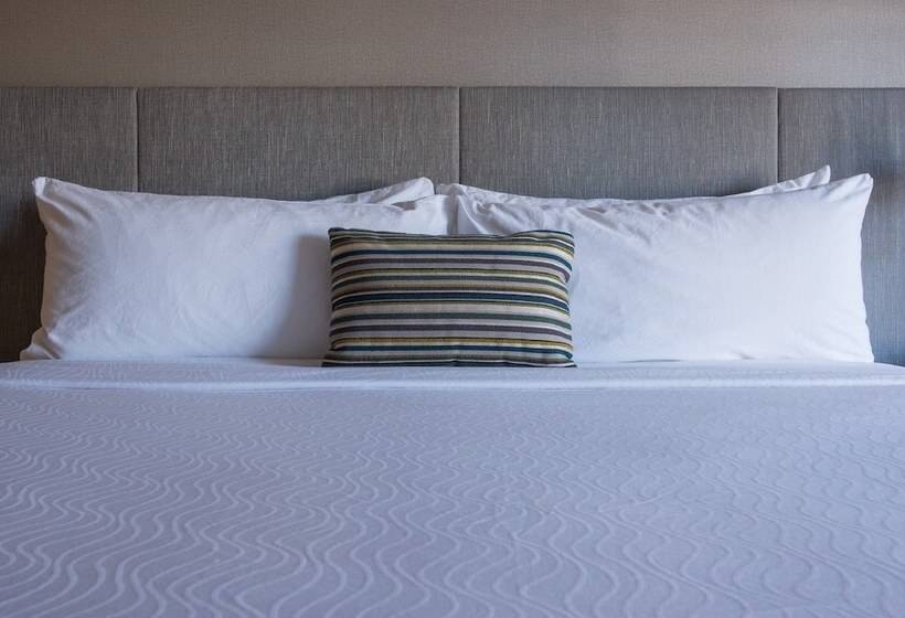 اتاق استاندارد, Indigo Napa Valley, An Ihg