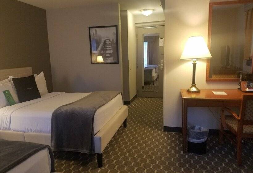 Deluxe Room, Inn Of Chicago