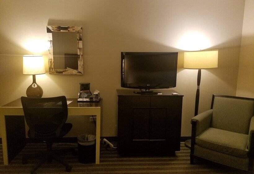 Junior Suite, Inn Of Chicago