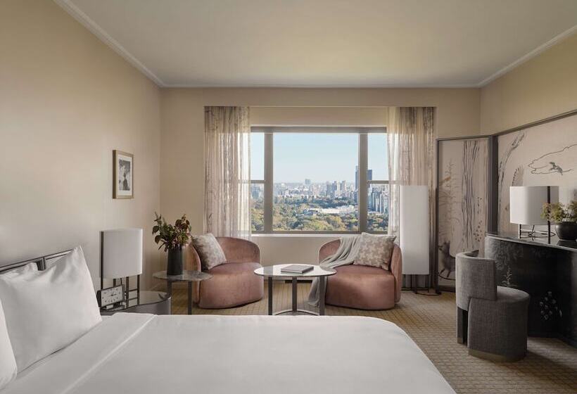 إستوديو قياسى سرير مزدوج, Park Lane New York