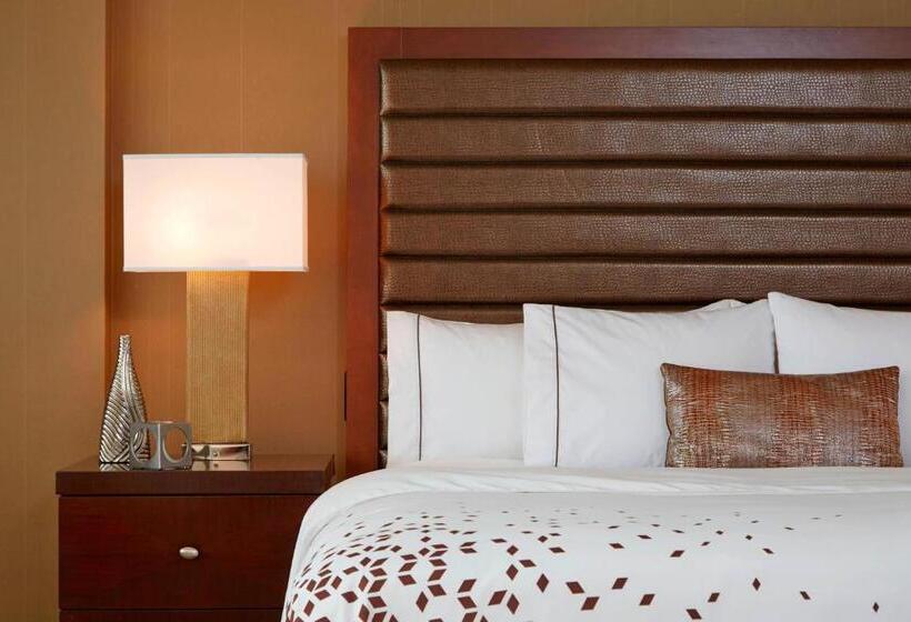 اتاق لوکس با تخت بزرگ, Renaissance St. Louis Airport