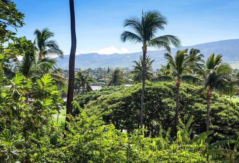 اتاق استاندارد با 2 تخت دوبل, Sheraton Maui Resort & Spa