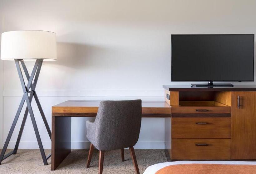 اتاق استاندارد با تخت بزرگ, Sheraton Maui Resort & Spa