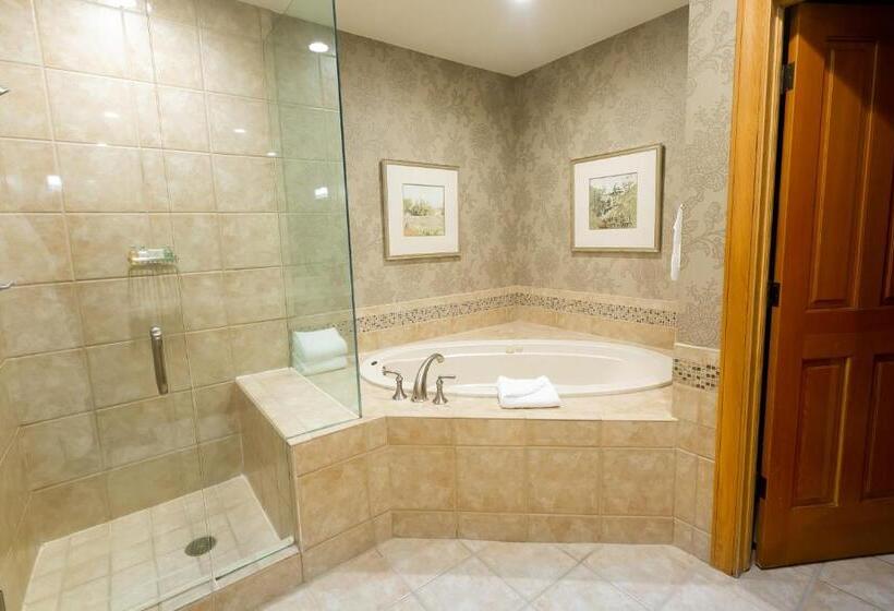 １ベッドルームプレミアムアパートメント, Stein Eriksen Lodge Deer Valley