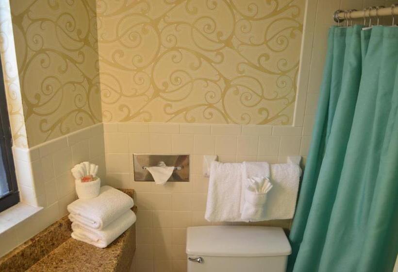 سوییت, Sun Viking Lodge  Daytona Beach