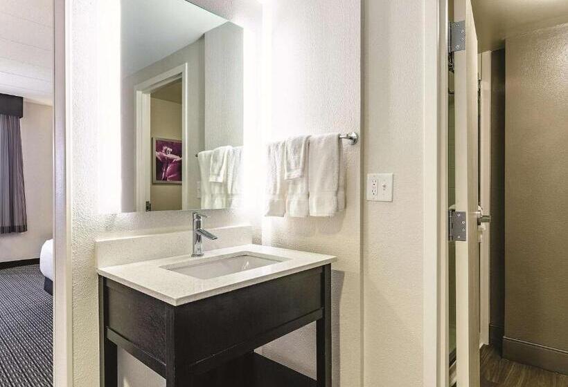 اتاق لوکس با تخت بزرگ, La Quinta By Wyndham Warwick Providence Airport