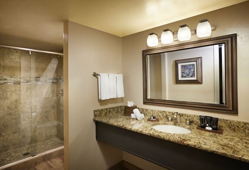 سوییت, The Scottsdale Plaza Resort & Villas