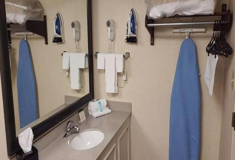 اتاق استاندارد با تخت بزرگ, Auburn Place Hotel & Suites Cape Girardeau