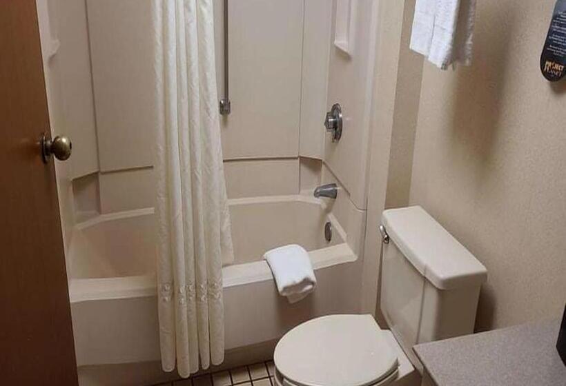 اتاق استاندارد با تخت بزرگ, Auburn Place Hotel & Suites Cape Girardeau