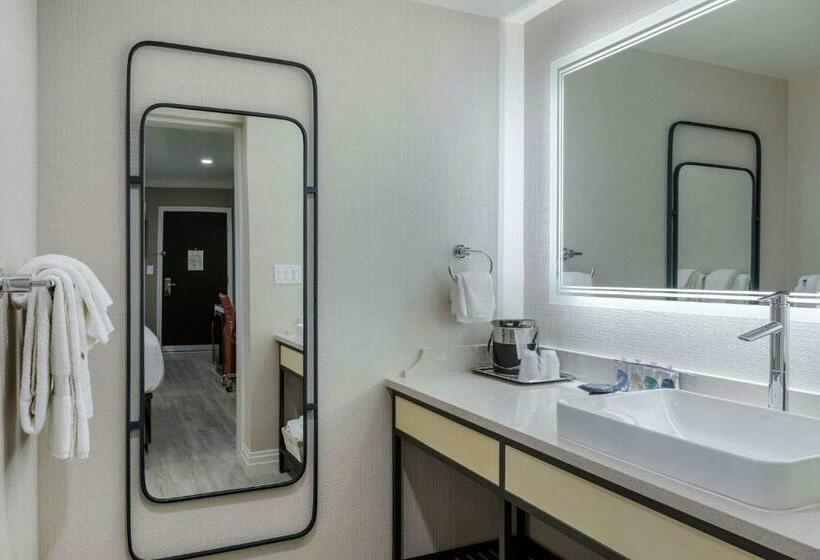 اتاق استاندارد با تخت بزرگ, Bluestem Hotel Torrance Los Angeles, Ascend Hotel Collection