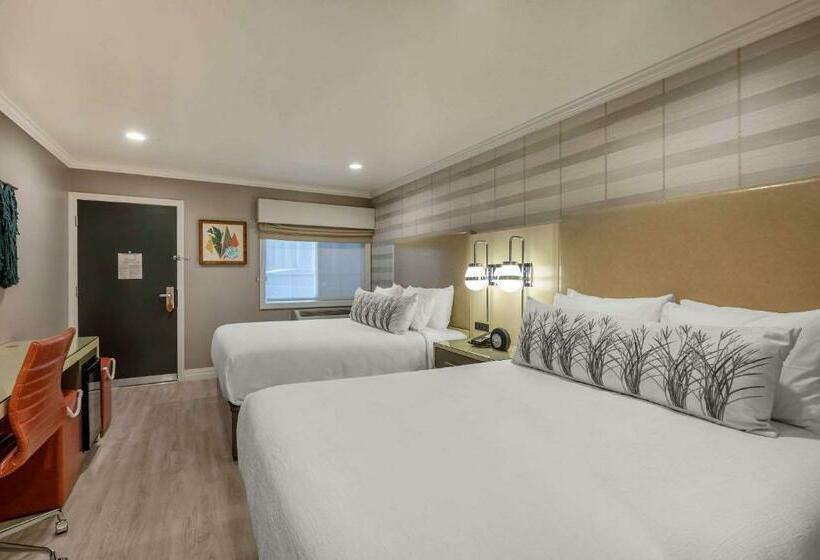 اتاق استاندارد, Bluestem Hotel Torrance Los Angeles, Ascend Hotel Collection