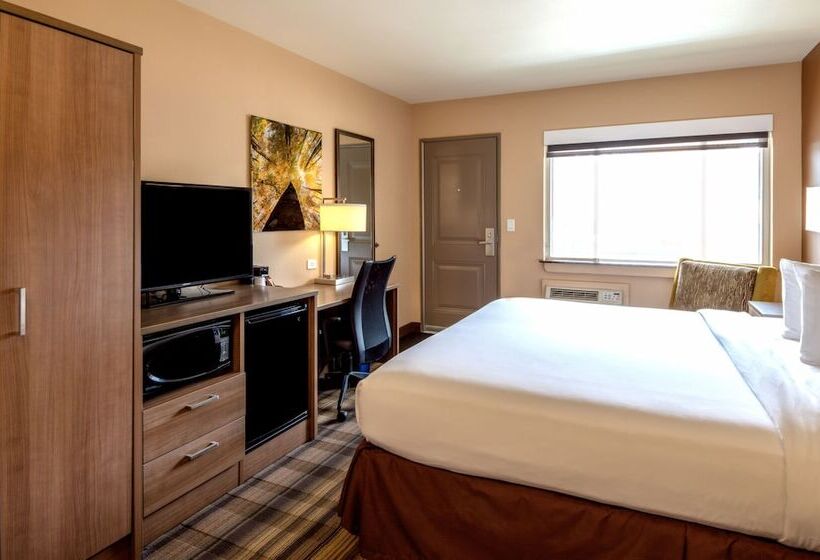اتاق استاندارد با تخت دوبل برای معلولان, Boulder University Inn