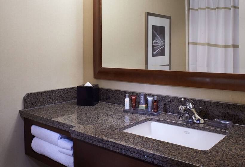 اتاق استاندارد با تخت دوبل, Detroit Marriott At The Renaissance Center