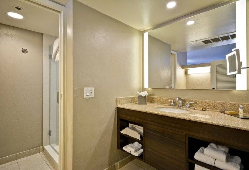 اتاق استاندارد با تخت دوبل برای معلولان, Doubletree By Hilton Phoenix North