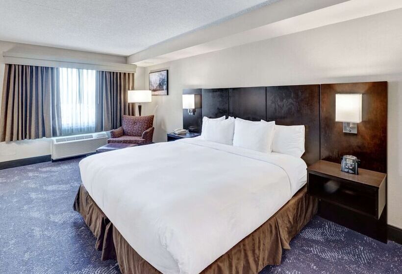 سوییت جونیور, Doubletree By Hilton Wichita Airport