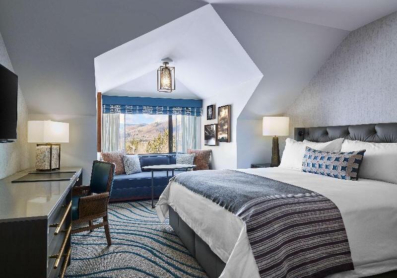 اتاق استاندارد با تخت بزرگ, Grand Hyatt Vail