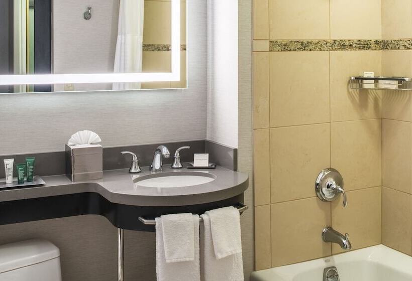 إستوديو قياسى سرير مزدوج, Hilton Portland Downtown