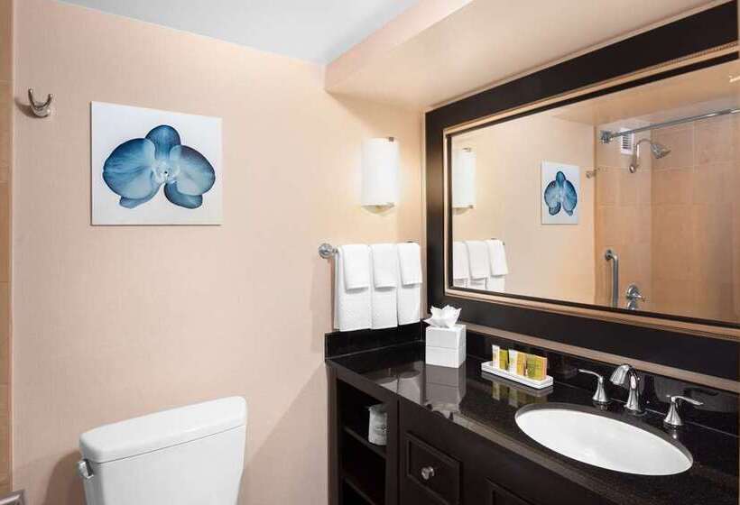 سوئیت با تخت بزرگ, Hilton San Diego Airport/harbor Island