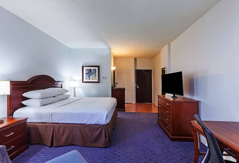 Deluxe Room Adapted for people with reduced mobility, Hilton Waco