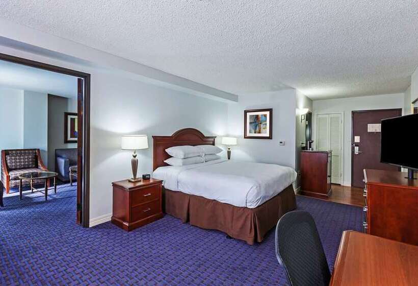 اتاق استاندارد با تخت بزرگ, Hilton Waco