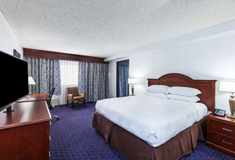 اتاق استاندارد با تخت بزرگ, Hilton Waco