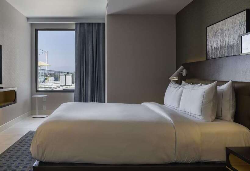 اتاق استاندارد با تخت بزرگ, Hilton Waco