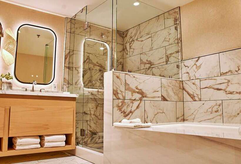اتاق استاندارد با تخت بزرگ, Hilton Waco