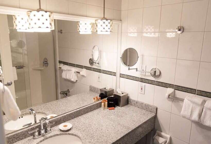 اتاق لوکس با تخت دو نفره بزرگ, Hilton Waco
