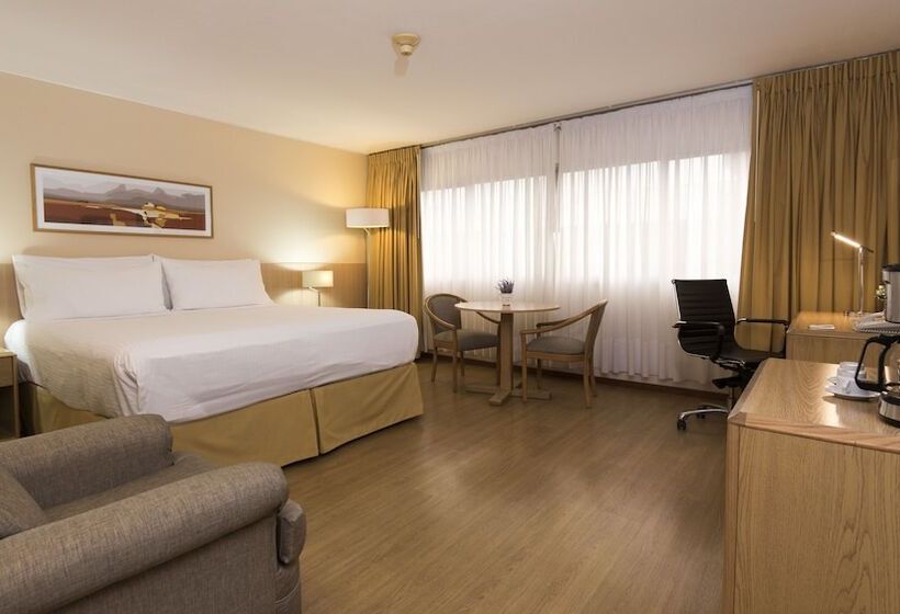 اتاق استاندارد با تخت دوبل, Holiday Inn Montevideo