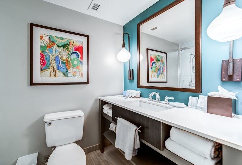 اتاق استاندارد, Indigo Atlanta Vinings, An Ihg