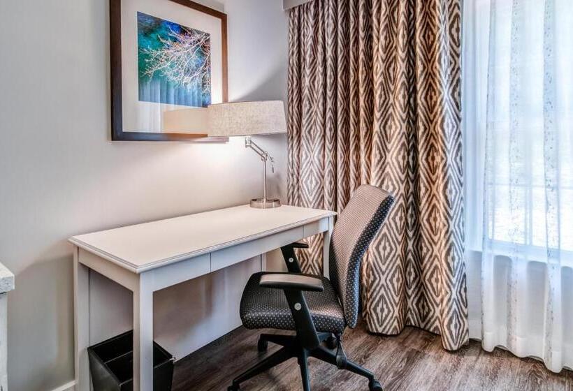 اتاق اجرایی با تخت بزرگ, Indigo Atlanta Vinings, An Ihg