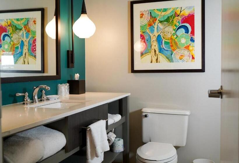 اتاق اجرایی با تخت بزرگ, Indigo Atlanta Vinings, An Ihg
