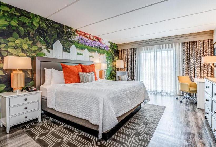 اتاق استاندارد با تخت بزرگ, Indigo Atlanta Vinings, An Ihg