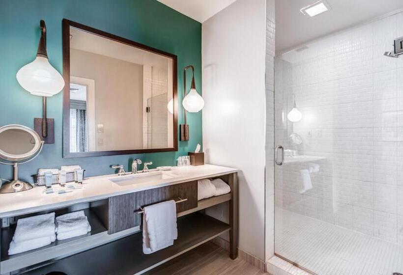 اتاق استاندارد با تخت بزرگ, Indigo Atlanta Vinings, An Ihg