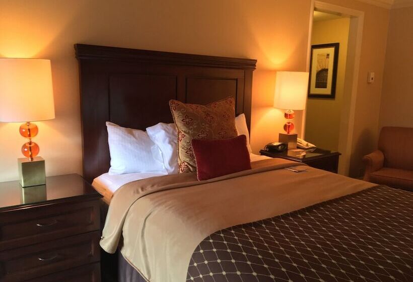 Deluxe Room Adapted for people with reduced mobility, Omni William Penn