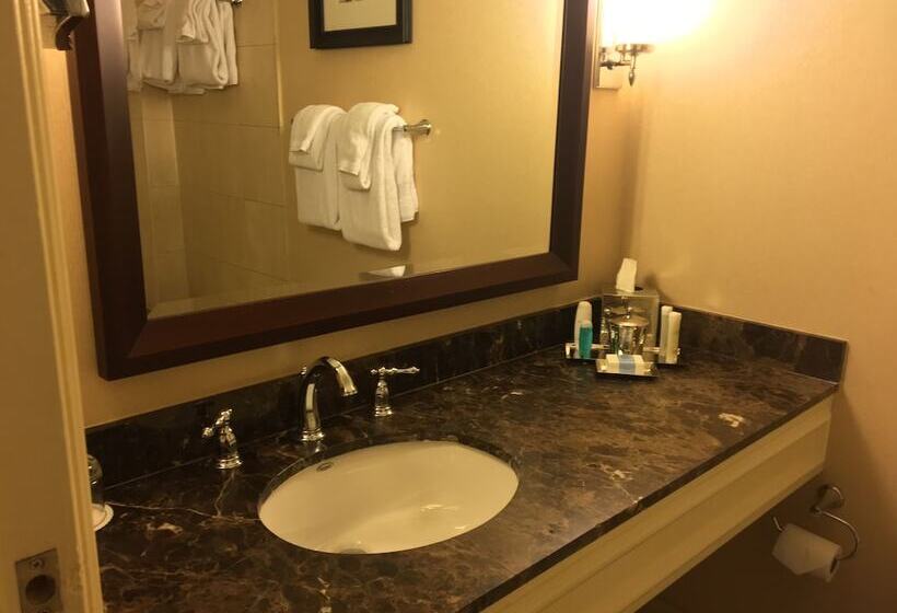 Deluxe Room Adapted for people with reduced mobility, Omni William Penn