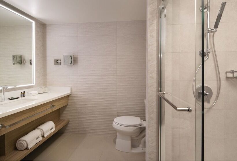 シティビューのデラックスルーム, The Westin Denver Downtown