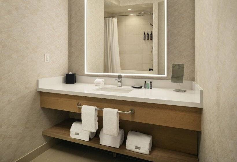 シティビューのデラックスルーム, The Westin Denver Downtown