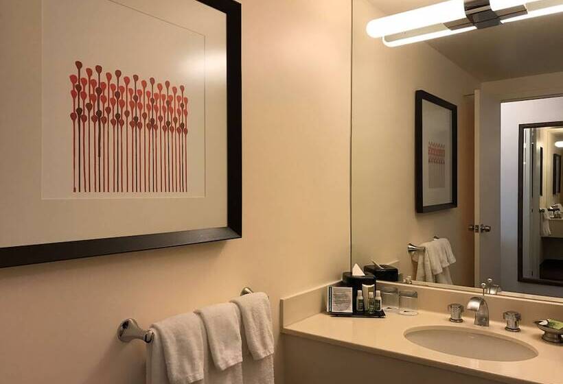 Superior Room Adapted for people with reduced mobility, Washington Plaza