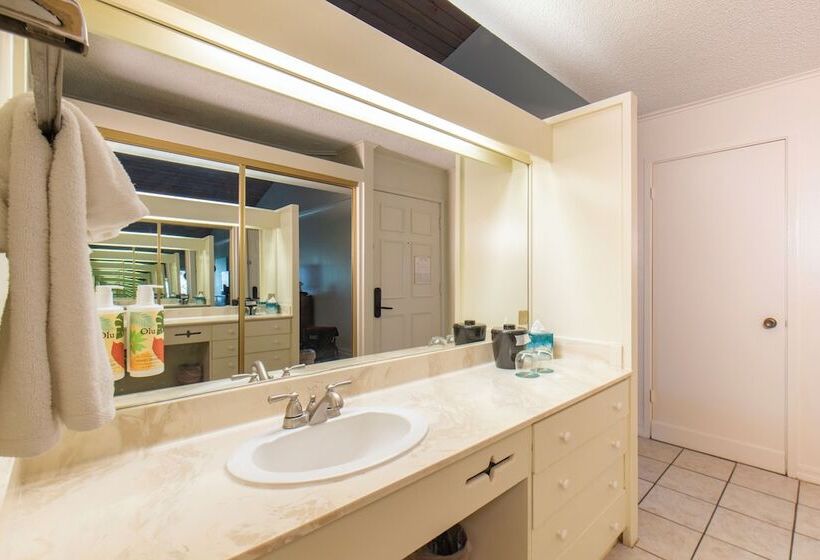 اتاق استاندارد با تخت دوبل, Kaanapali Ocean Inn