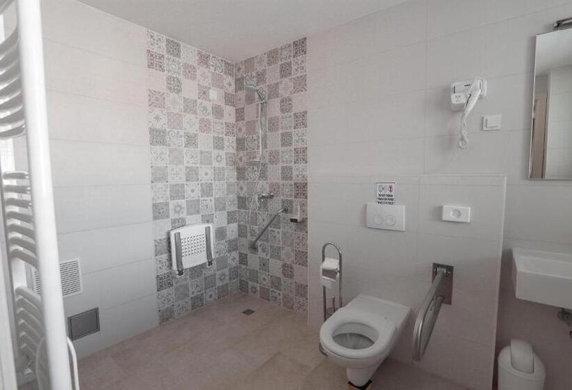 اتاق استاندارد برای معلولان, Borovnik