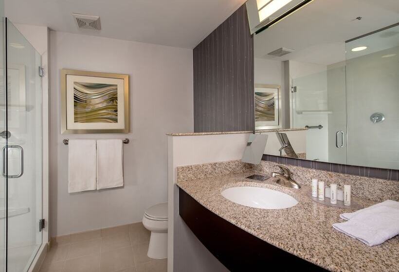 اتاق استاندارد با 2 تخت دوبل, Courtyard By Marriott Lansing