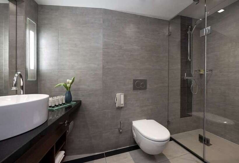اتاق استاندارد با چشم‌انداز دریا, Hilton Imperial Dubrovnik