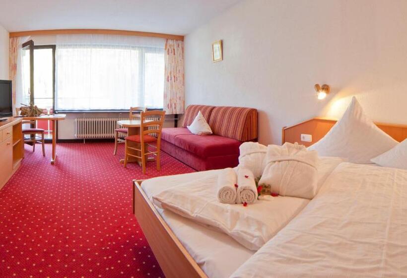 اتاق استاندارد, Aparthotel Kleinwalsertal