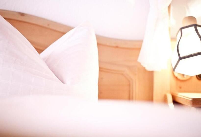 اتاق استاندارد یک نفره, Aparthotel Kleinwalsertal