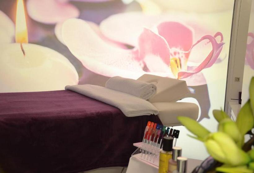 اتاق استاندارد با دسترسی به اسپا, Holiday Inn Dijon Toison D Or, An Ihg