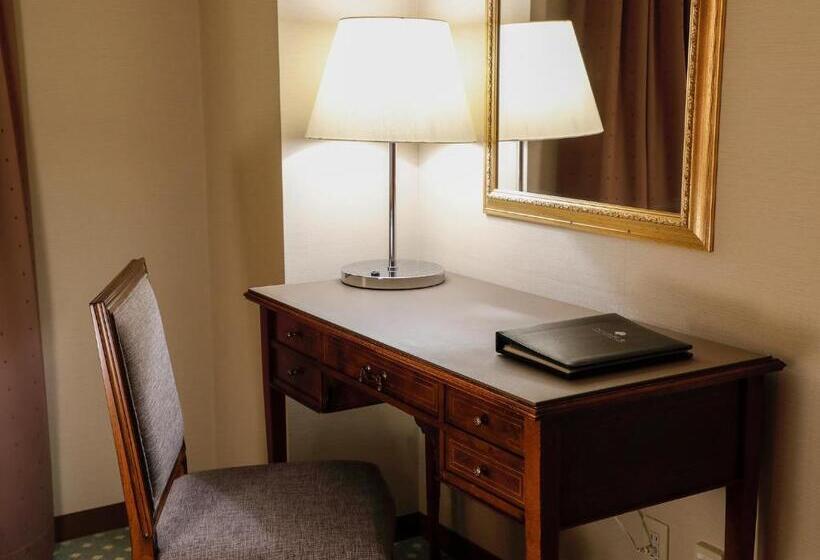 اتاق استاندارد, Premier Hotel  Tsubaki  Sapporo