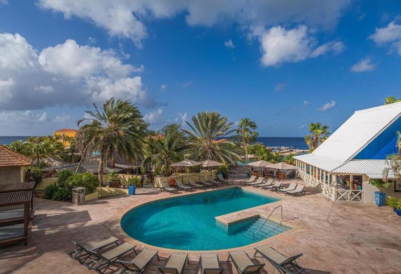 اتاق استاندارد با چشم‌انداز دریا, Lionsdive Beach Resort